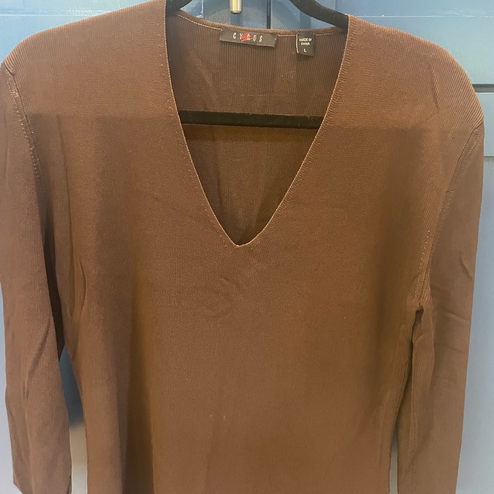 Brown V neck sweater. Lightweight. EUC. Size L